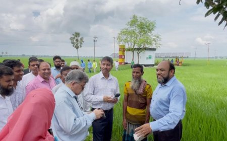 Agriculture Secretary: No fertilizer shortage in Bangladesh