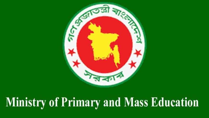 Government justifies holding primary school scholarship exams