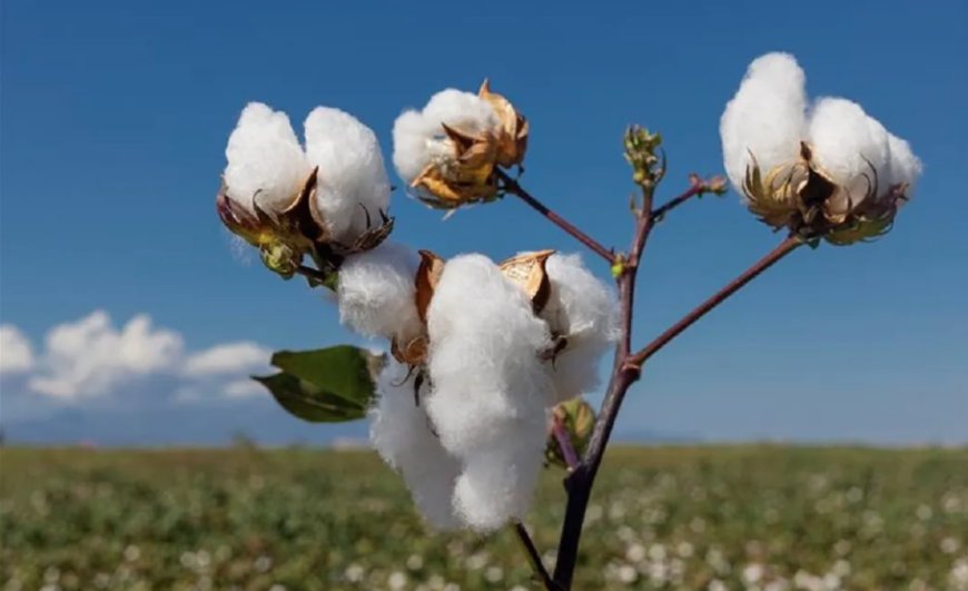 Additional waiver of tariffs on US-sourced raw materials