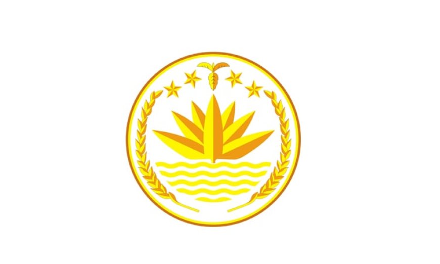 "Available support and therapies for people with intellectual disabilities in China"