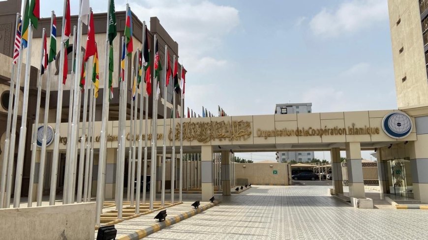 OIC reiterates demand for accountability over Rohingya atrocities