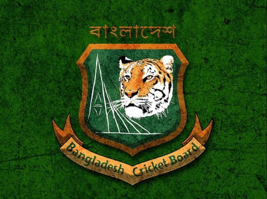 BCB inquiry committee submits initial report on BPL allegations