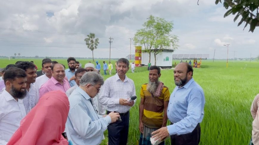 Agriculture Secretary: No fertilizer shortage in Bangladesh