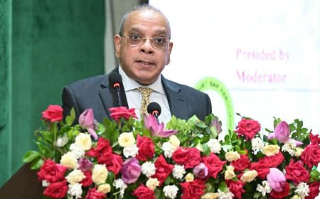 Chief Justice: Around 80% of judicial reform programme completed