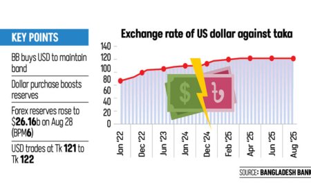 Bangladesh Bank scoops up nearly $1b from market amid dollar slide
