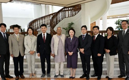 Japanese lawmakers praise Bangladesh for reforms in factory labour standards