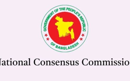 Tenure Of National Consensus Commission Extended Till 15 Oct
