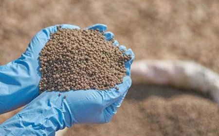 Finance Adviser Denies ‘Special Advantage’ In Fertiliser Imports