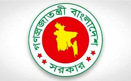 Government Takes Major Decisions On Manpower Export To Japan