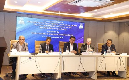 Bangladesh’s Toy Market Expected to Double by 2030: DCCI