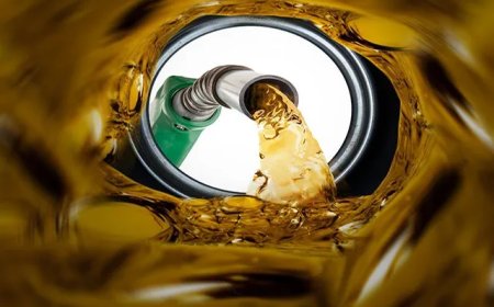 Government To Procure 50,000 MTs Gasoline