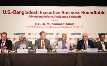 Chief Adviser Urges US Companies To Invest More In Bangladesh
