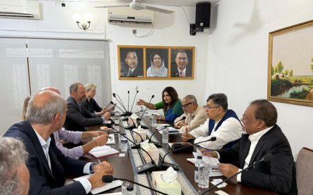 BNP Holds Meeting With European Parliamentary Delegation