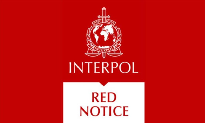 Interpol issues red notice against owners of three RMG factories