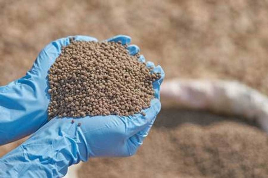Finance Adviser Denies ‘Special Advantage’ In Fertiliser Imports