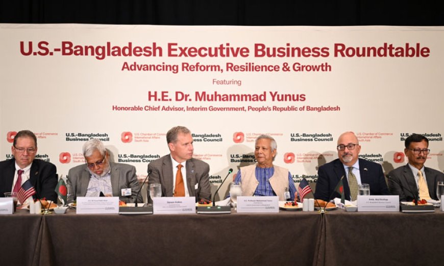 Chief Adviser Urges US Companies To Invest More In Bangladesh