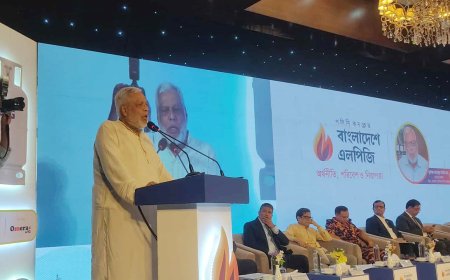 LPG Cylinder Price Should Be Within Tk1,000: Energy Adviser