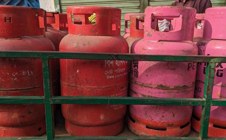 LPG Can Help Ease Gas Crisis: Speakers