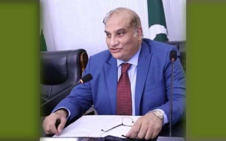 Pakistan Envoy Calls on Foreign Adviser