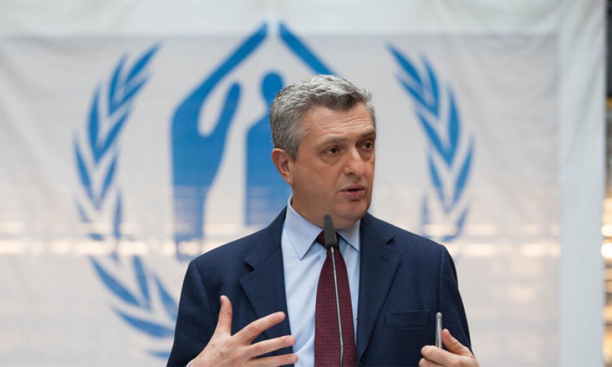 Solution To Rohingya Crisis Lies In Myanmar: UNHCR Chief