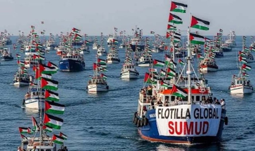 Gaza Aid Flotilla Continues Despite Israeli Interception