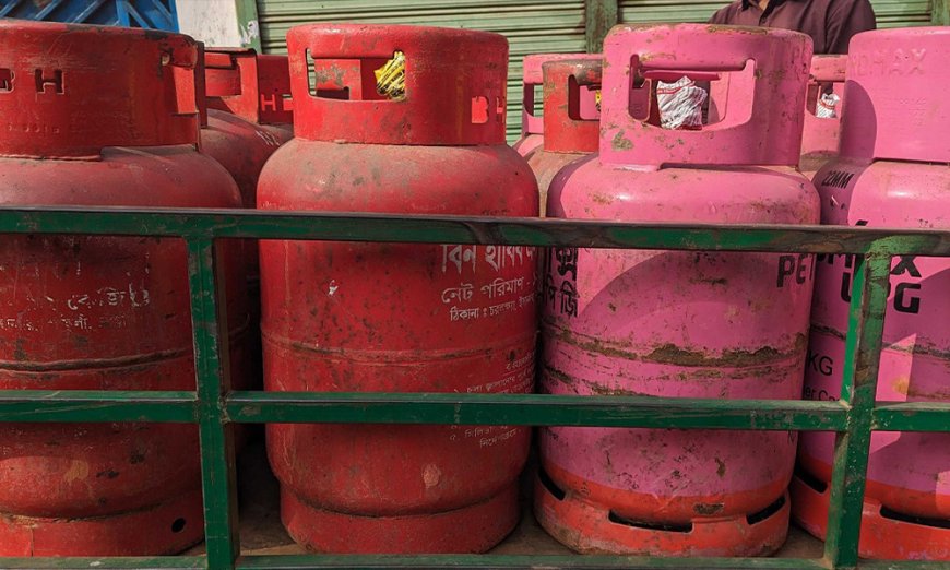 LPG Can Help Ease Gas Crisis: Speakers