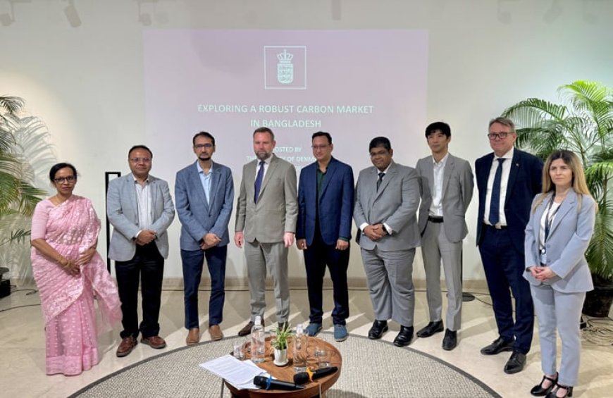 Bangladesh Can Capitalize on Climate Challenges Through Carbon Markets