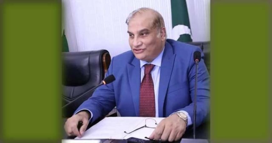 Pakistan Envoy Calls on Foreign Adviser