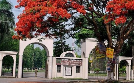 IU Suspends 19 Teachers, Expels 33 Students for Anti-July Uprising Activities