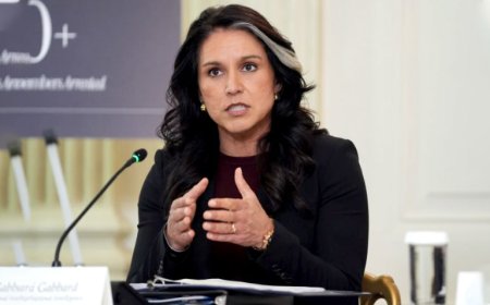 Former American Strategy Of ‘Regime Change’ Is Over: Tulsi Gabbard