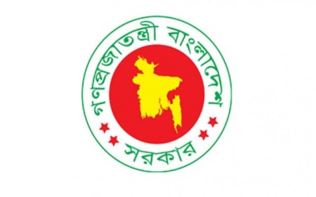 Govt Clarifies Cancellation of Proposal to Appoint Physical Education, Music Teachers in Primary Schools