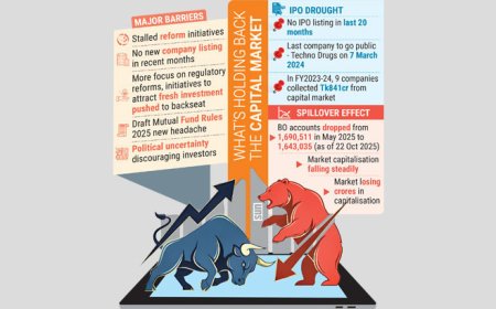 Capital Market Reform Initiatives Fall Flat