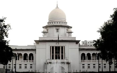 SC Hearing On Caretaker Government Appeal Adjourned Till Nov 11