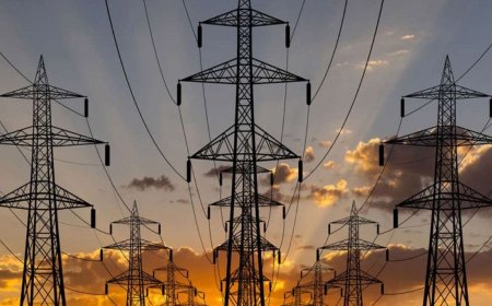 Adani’s Godda power plant is now fully operational and prepared to supply electricity according to demand