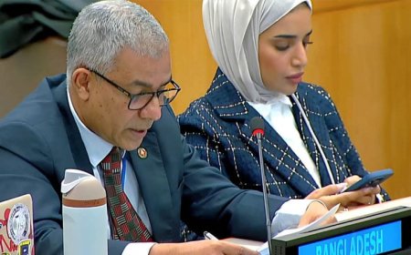 The UN General Assembly has passed a resolution calling for the repatriation of Rohingya refugees to Myanmar