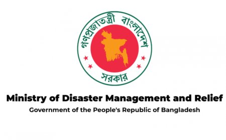 The government has extended financial assistance to the families of those killed in the earthquake