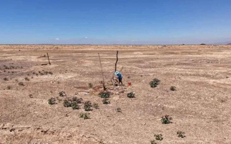 The UN has issued a warning about escalating heat-related dangers across Asia and the Pacific