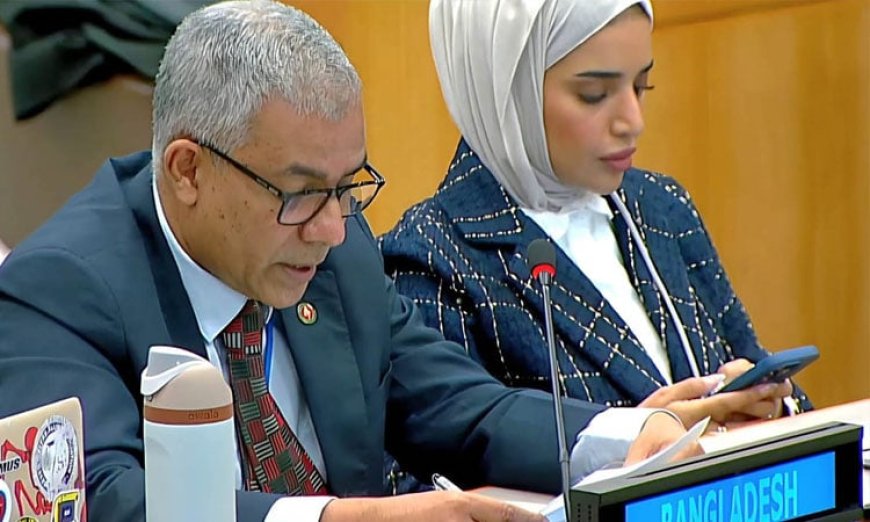 The UN General Assembly has passed a resolution calling for the repatriation of Rohingya refugees to Myanmar