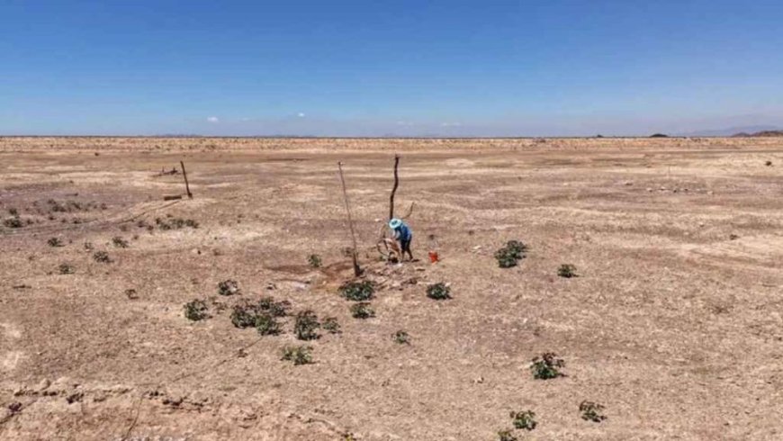 The UN has issued a warning about escalating heat-related dangers across Asia and the Pacific