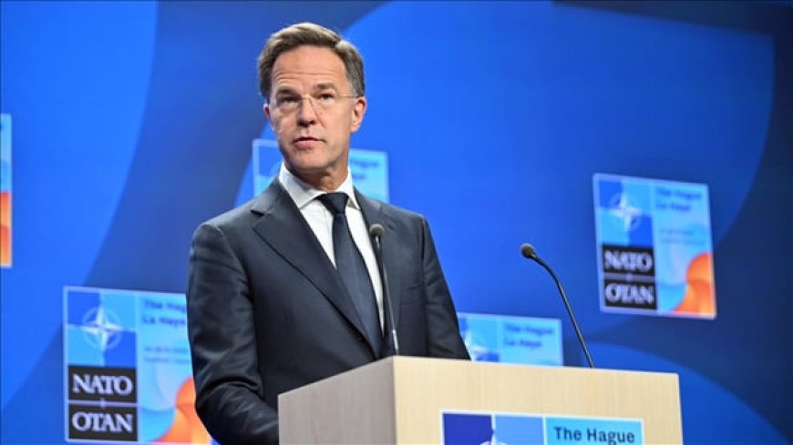 NATO chief praises Trump’s efforts to bring an end to the fighting in Ukraine