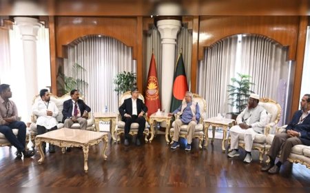 Political parties hold talks with Chief Adviser to protect the legacy of the July Uprising