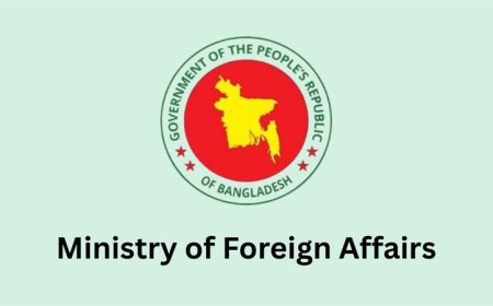 Foreign diplomats briefed on election preparations