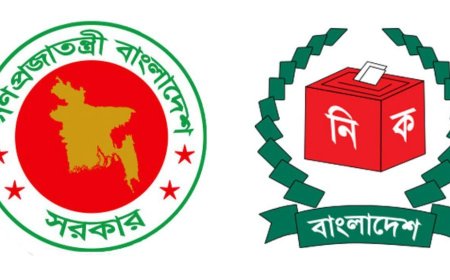 Elections, referendum a national commitment: Government