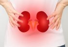 Kidneys in silent mode: early warning signs you shouldn’t ignore