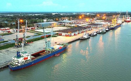 Mongla Port handled a record 17,387 containers over the past six months