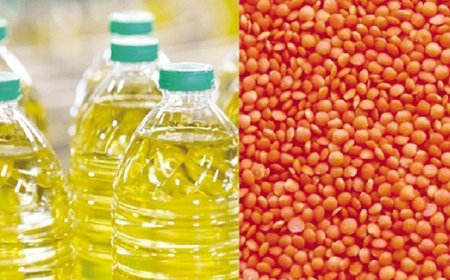 Government to procure edible oil and lentils to stabilise the market