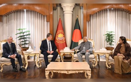 EU to deploy a large election observation mission to Bangladesh, mission chief informs Chief Adviser