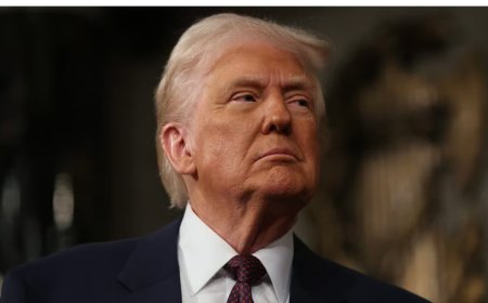 Trump warns Europe of tariffs amid protests over Greenland