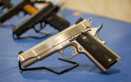 Firearms licence holders instructed to surrender weapons by January 31