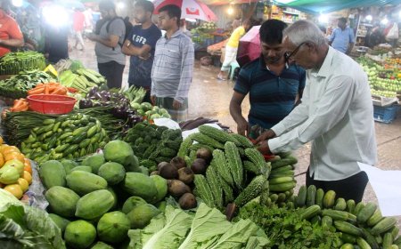 Plenty in the fields, pricey in the markets: Why are vegetables so expensive in Dhaka?